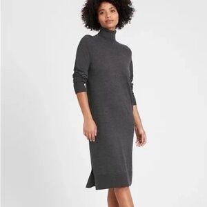 NWT Banana Republic Merino Wool Turtleneck Sweater Dress S